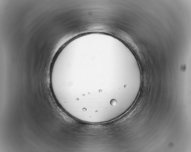 X0000099231328200805221828