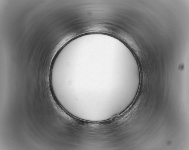 X0000099231330200805221828