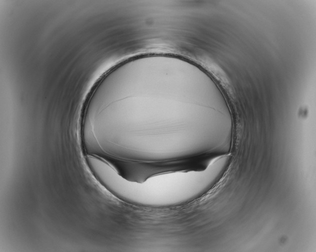 X0000099231334200805221828