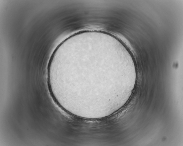 X0000099231335200805221828