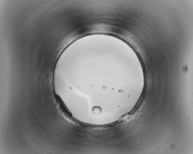 X0000099231337200805221828