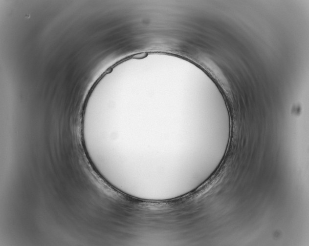 X0000099231340200805221828