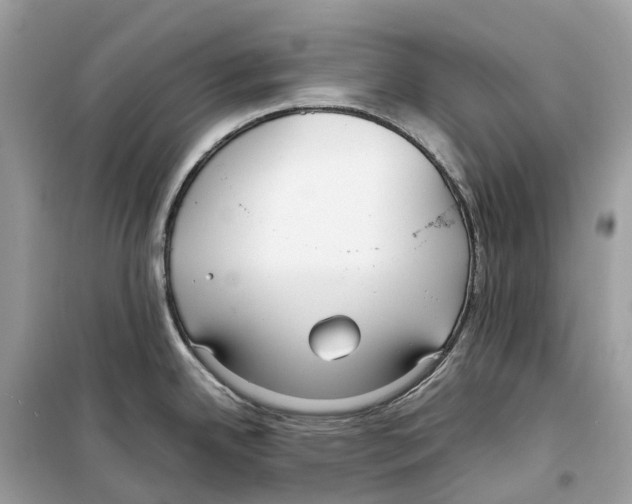 X0000099231342200805221828