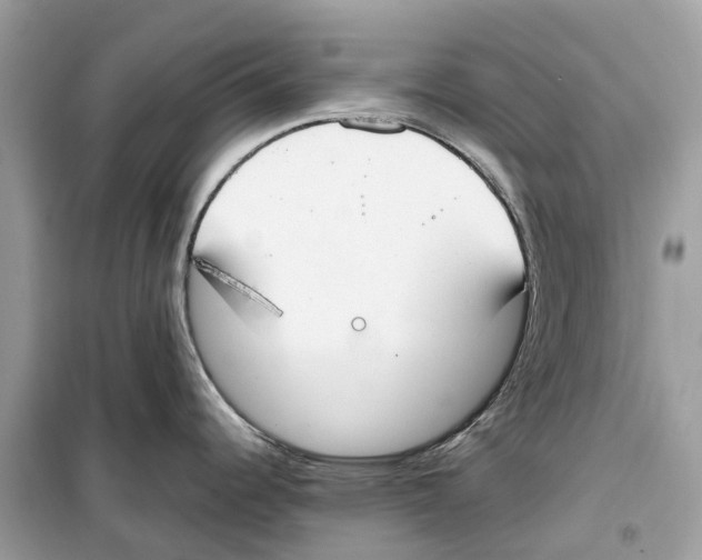 X0000099231344200805221828