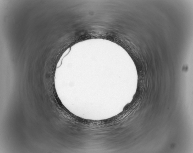 X0000099231345200805221827