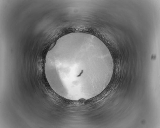 X0000099231346200805221827