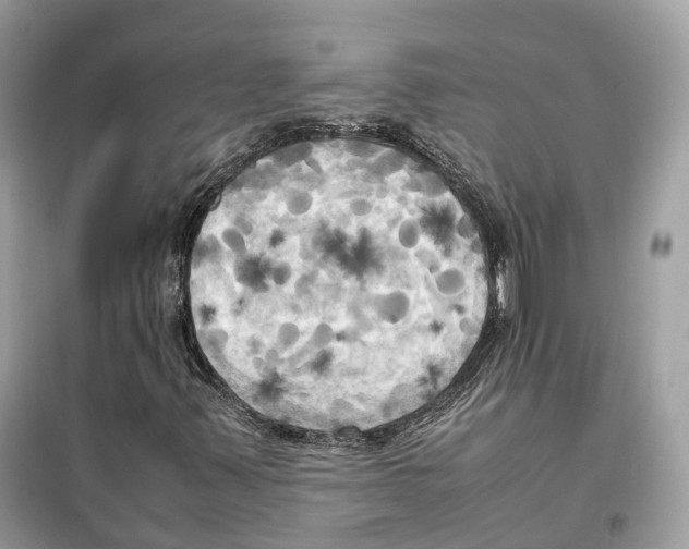 X0000099231347200805221827