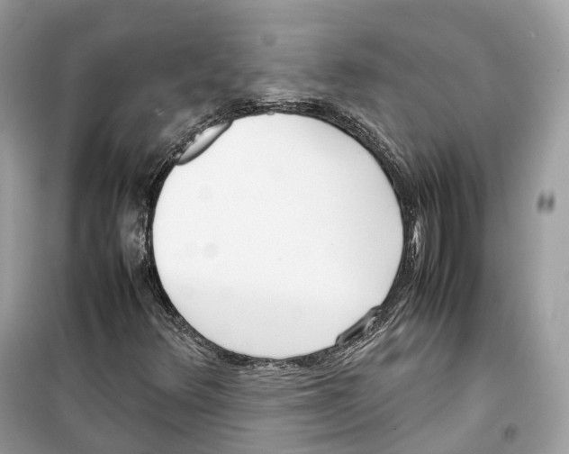 X0000099231348200805221827