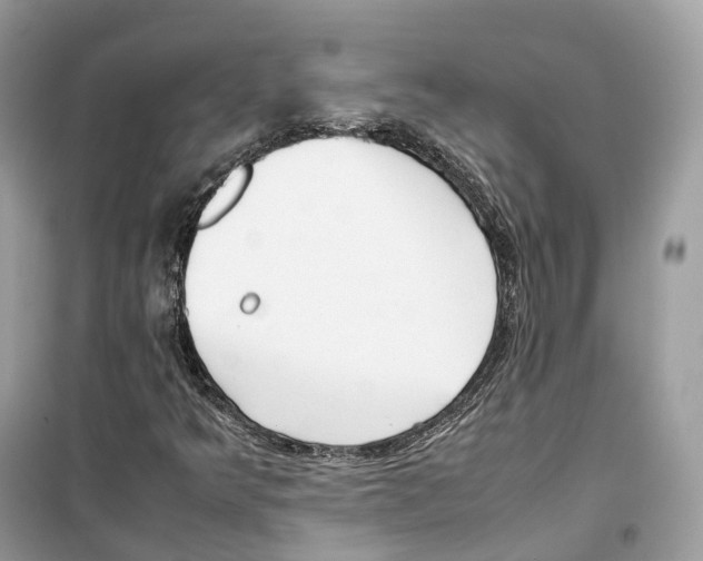 X0000099231349200805221827