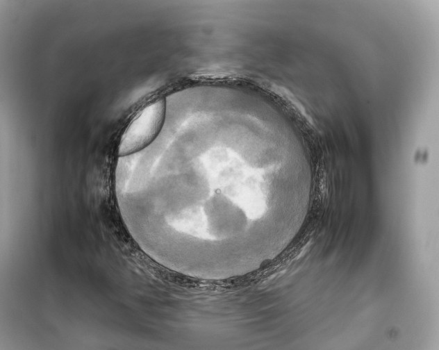 X0000099231350200805221827