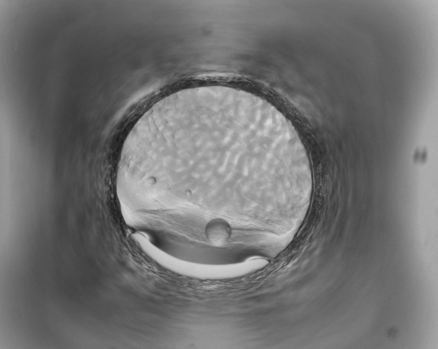 X0000099231351200805221827