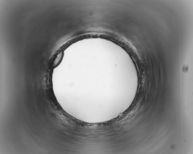 X0000099231352200805221827