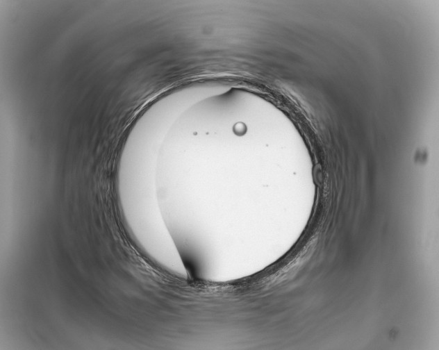 X0000099231353200805221827