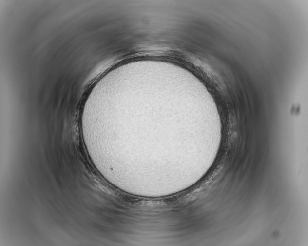 X0000099231354200805221827