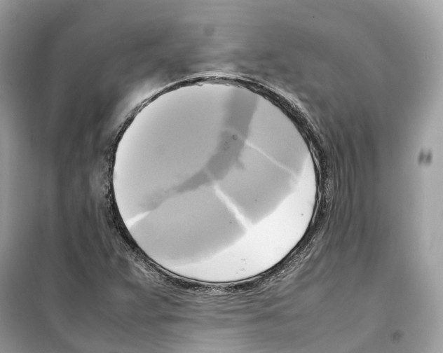 X0000099231359200805221827