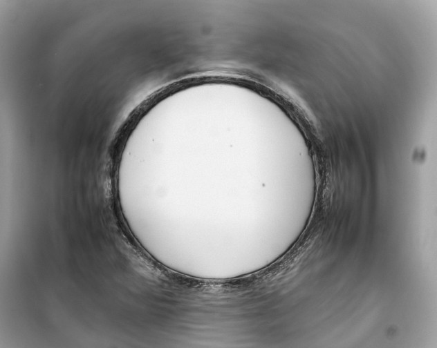 X0000099231360200805221827