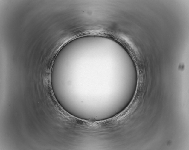 X0000099231361200805221827