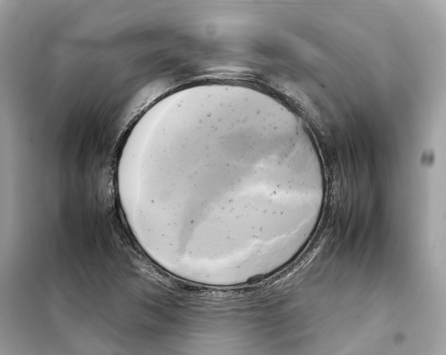 X0000099231362200805221827