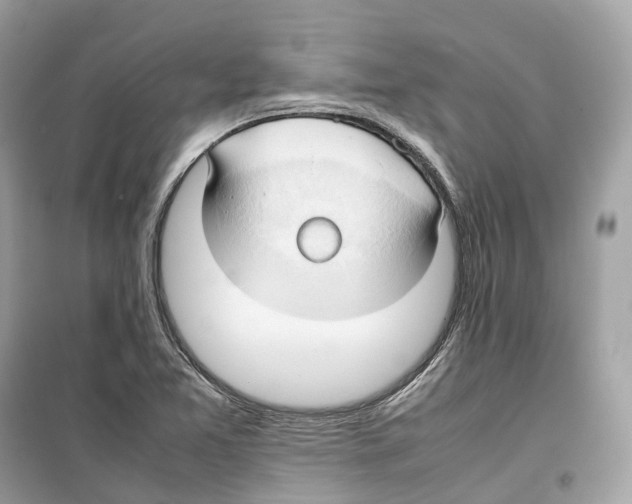 X0000099231365200805221827