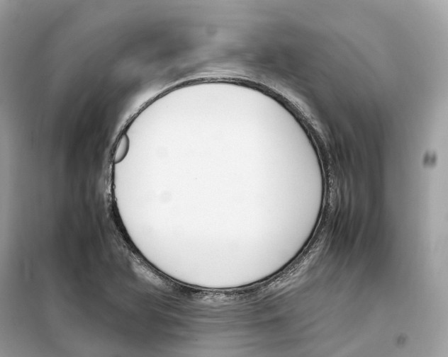 X0000099231366200805221827