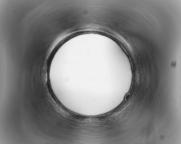 X0000099231368200805221827