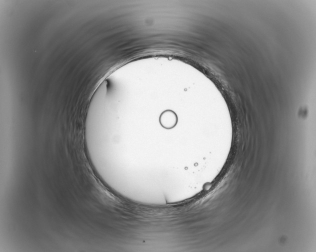 X0000099231369200805221827