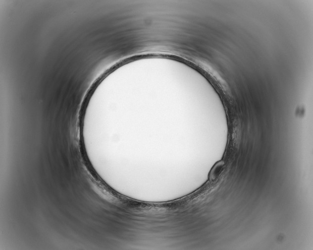 X0000099231372200805221827