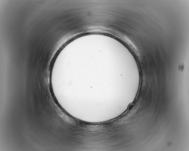 X0000099231376200805221827