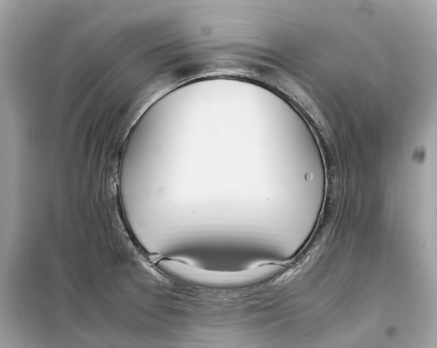 X0000099231377200805221827