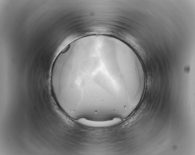 X0000099231378200805221827