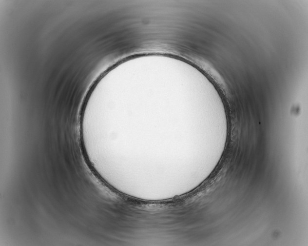 X0000099231380200805221827