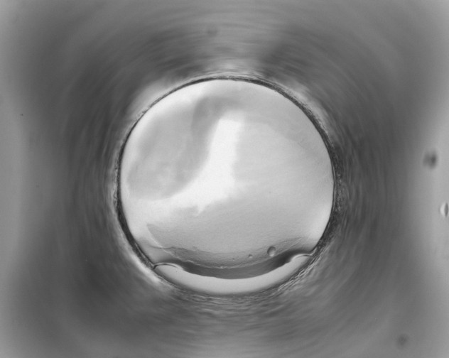 X0000099231383200805221827