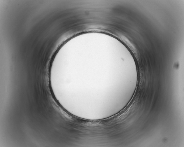 X0000099231384200805221827