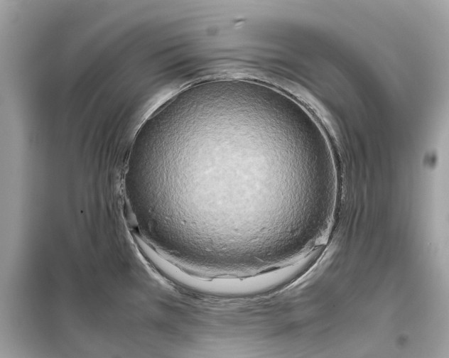 X0000099231385200805221827