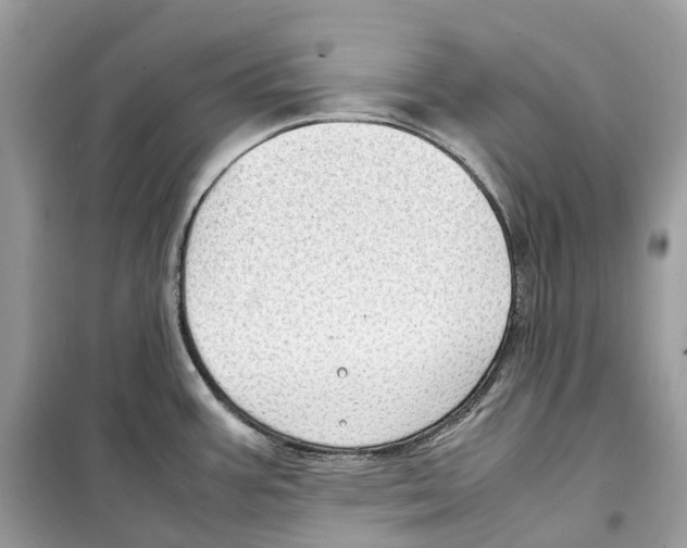 X0000099231387200805221827