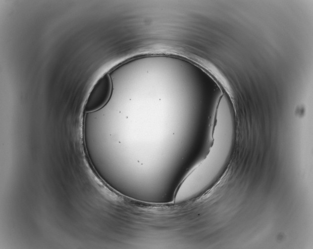 X0000099231388200805221827