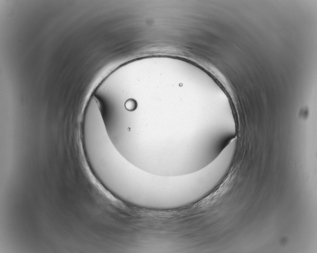 X0000099231389200805221827