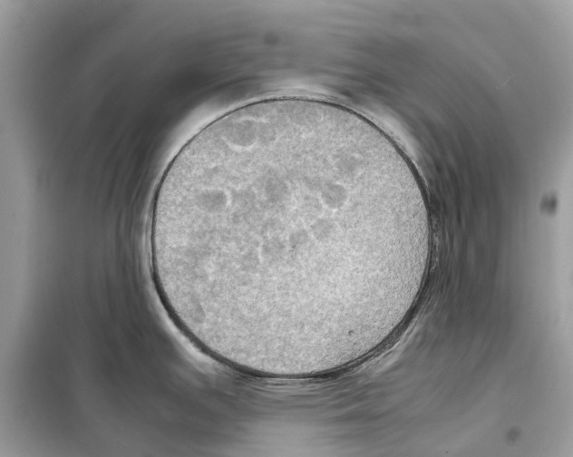 X0000099231391200805221827