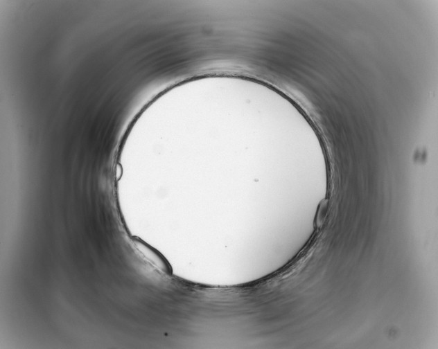 X0000099231392200805221827