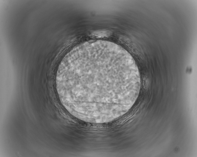 X0000099231393200805221826