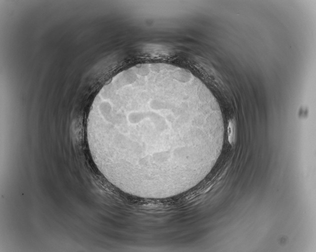 X0000099231395200805221826