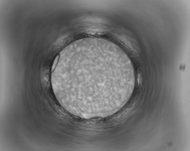 X0000099231396200805221826