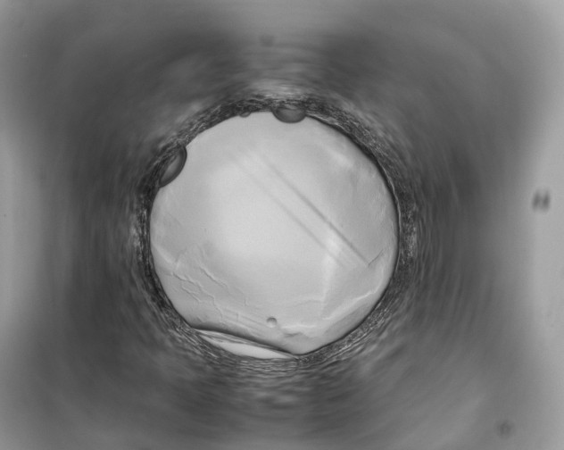 X0000099231397200805221826