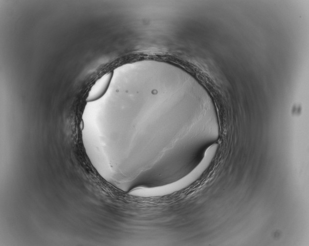 X0000099231398200805221826