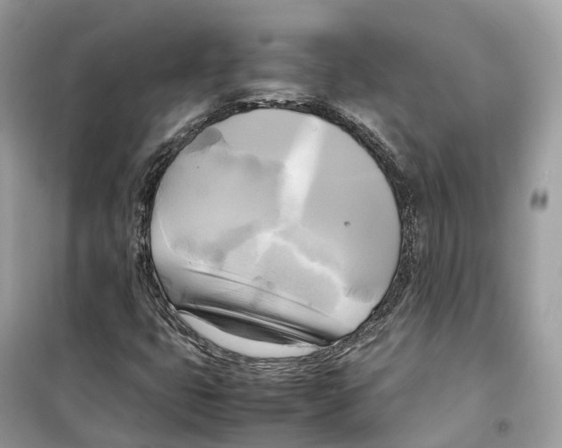 X0000099231399200805221826