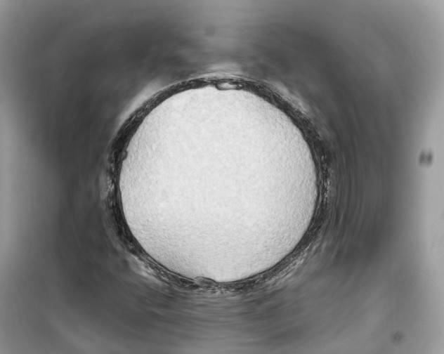 X0000099231400200805221826