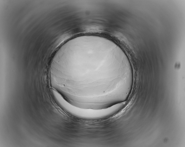 X0000099231401200805221826