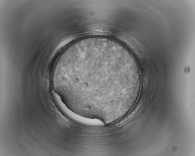 X0000099231402200805221826