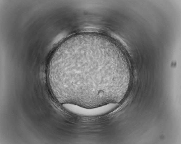 X0000099231403200805221826