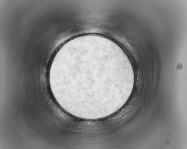 X0000099231404200805221826